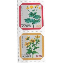 F - Flora - C-334 - Azores - Año 1981