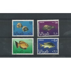 P - Peces - 76/79 - Somalia - o - Año 1967