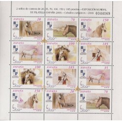 Sellos - Países - España - Minipliegos - 2000 (69) - **